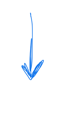 a blue drawing of a leaf on a black background